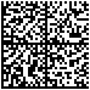 http---www.gbnet.com.br-v2-codigo_de_barras_fontes_DATAMATRIX.html